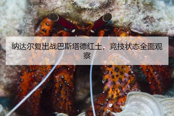 纳达尔复出战巴斯塔德红土，竞技状态全面观察
