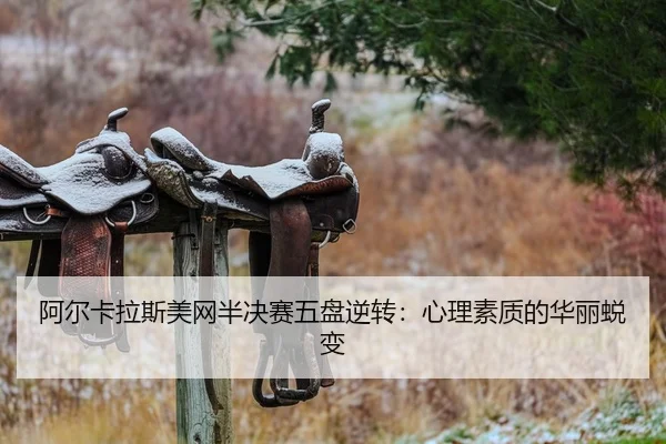 a-er-ka-la-si-mei-wang-ban-jue-sai-wu-pan-ni-zhuan-xin-li-su-zhi-di-hua-li-tui-bian-2-836.jpg